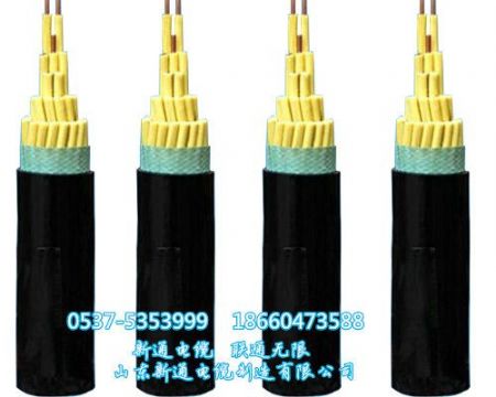 點擊查看詳細信息<br>標題：礦用控制電纜護套編織屏蔽控制電纜MKVVP-450/750/礦用控制電纜型號一覽/山東新通電纜 閱讀次數：3978